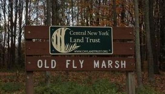 5th grade field trip to Old Fly Marsh