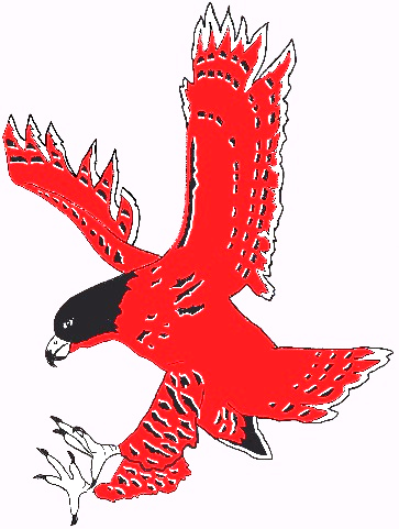 Graphic of Falcon