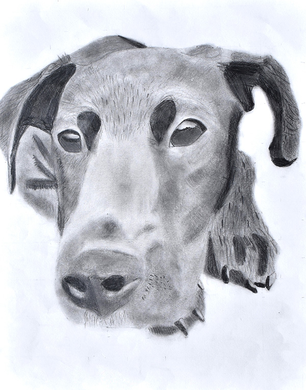 9 students receive CNY Scholastic Art Award Fabius Pompey School